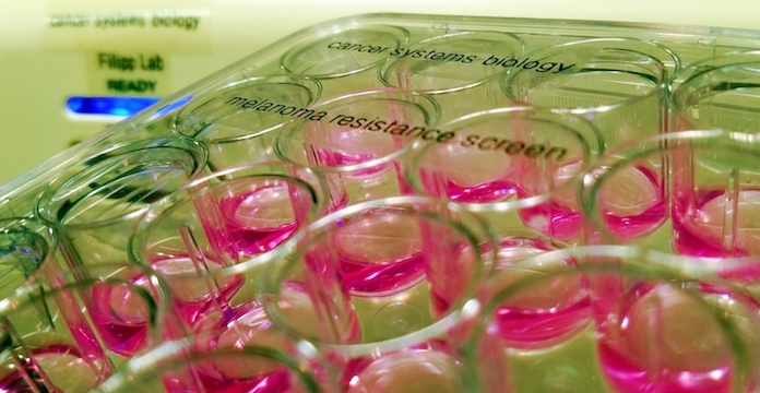 UC Merced Cancer Discovery Dr. Fabian Fillip